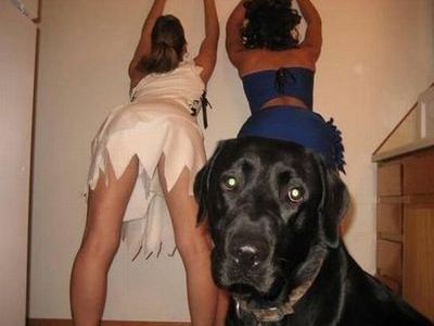 ����Ȥ�Ȥ�����