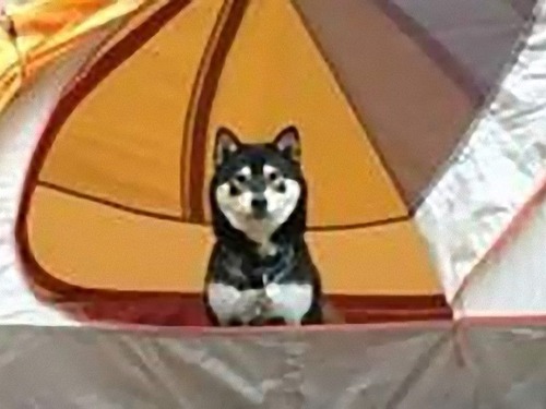 キャンプ友だち02