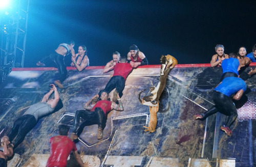 猫のフォトショップバトル06