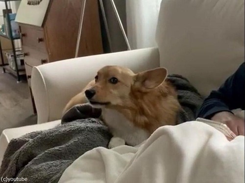 �����祳���礷�Ƥۤ�����������04