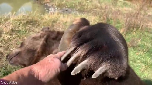 ���������˼��ä�����01