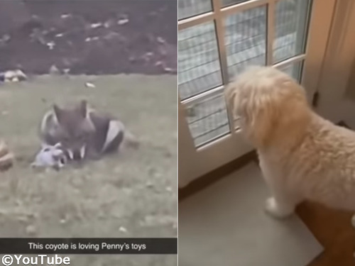 ��äѤ긤�ʤ���ʡ� �����Τ�������ͷ�������Υ��衼��00