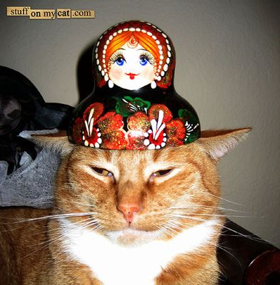 埋没する猫たち16