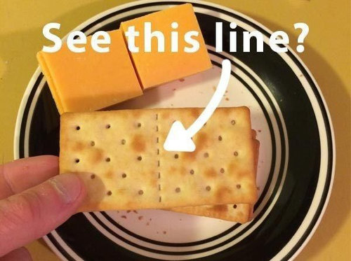 �����ܤ˥��ޤ��줿�͡�03