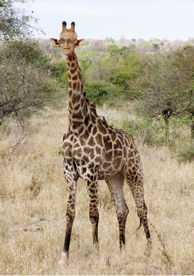 92歳のじーちゃん35