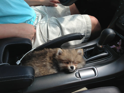 02Ȣ������ʪ�˼��ޤä�ưʪ����