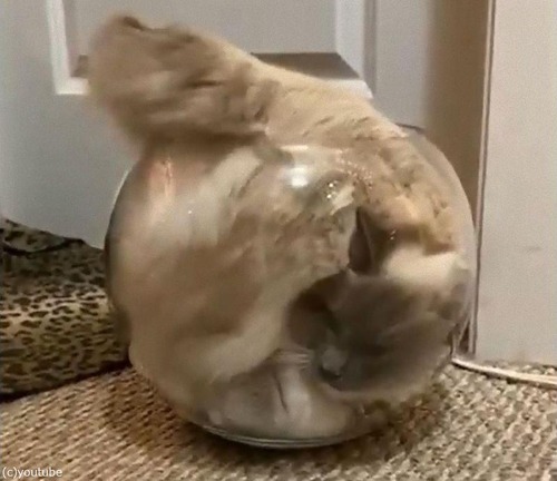 ���ȭ��ǭ02