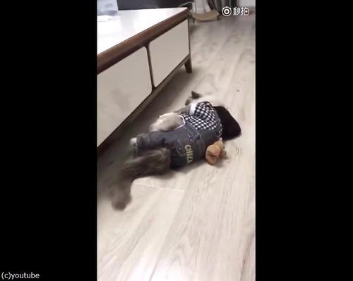 ����ǭ�ˤޤ����Υϥץ˥�04