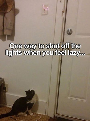 日常の役立ちライフハック22