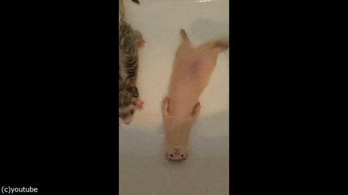 ���å��������ե���å�04