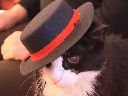 00˹�Ҥ򤫤֤�Ʊγ����