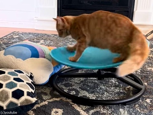回転イスが得意な猫…自力でクルクル回る（動画）