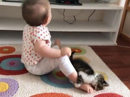 ��ǭ���֤�����ĩ��01