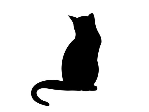 体操選手を救う猫