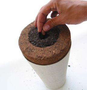 死んだら木になりたい02