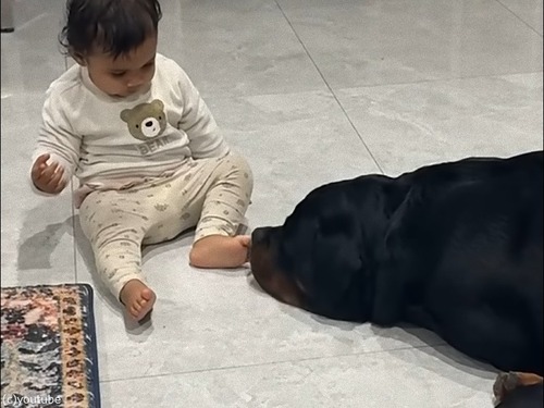 ȾʽλҤ嫡Ĥߤ繥ʤȤäƤ