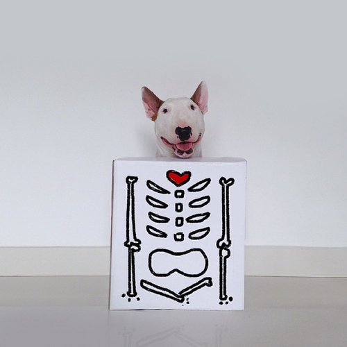 愛犬と10倍楽しむ方法03