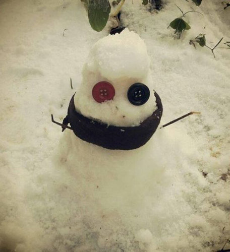 ブラジルに30年ぶりの雪13