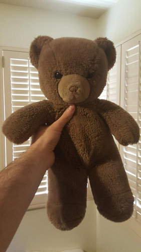 テディベア比較07