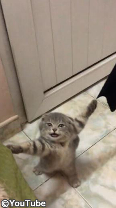 ��ǭ��������ͷ�Ф��Ƥ���ĤȤ�Ǥ�˥㤤���Ȥˤʤä�02