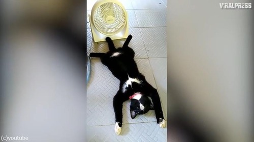 ������������������˺����ä�ǭ01