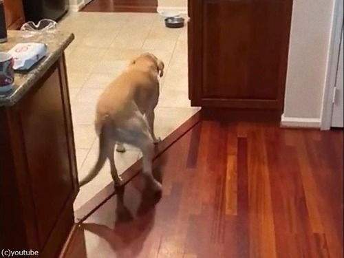 �ե�����󥰤����ʸ�02