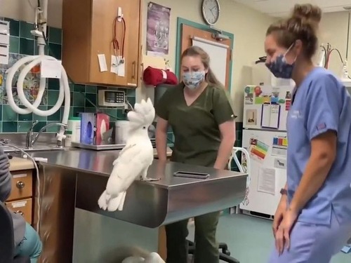 �ð�Υ����åդ��٤륿���ϥ�������01