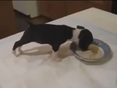 �����򤹤���Τ����Ӥ�Ҹ�01