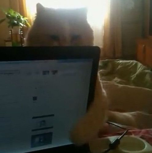 �Ρ���PC���Ĥ���ǭ01