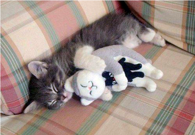 猫ちゃん三段重ね01