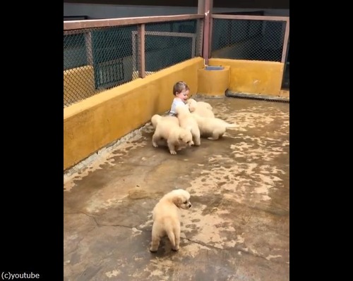 ����ʹ����ʸ��ʤä�¾�ˤ��롩05