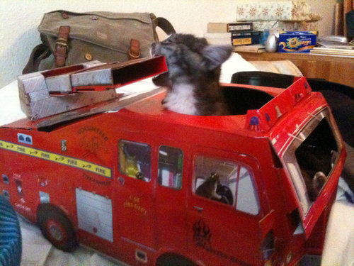 猫のために作ったもの10