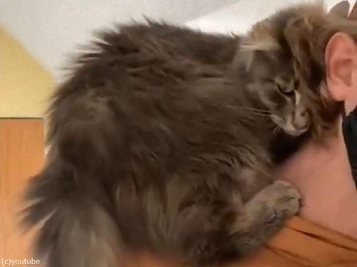 ����ǭ��Τ�Ƥˤʤä���ͳ02