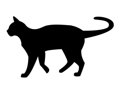 黒猫を飼うなら気を付けなきゃいけないこと00