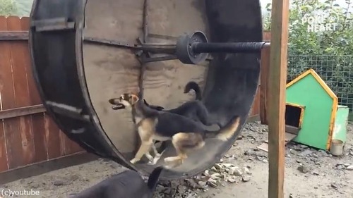 ϥॹβ󤷼֤Ѥ˺äƤߤ02