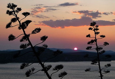 写真テクニック01