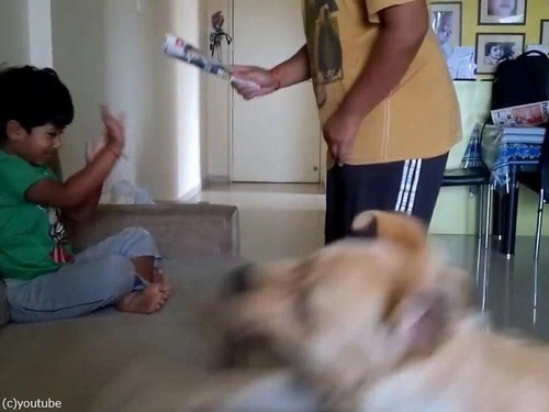 犬が男の子を父から救おうとする02