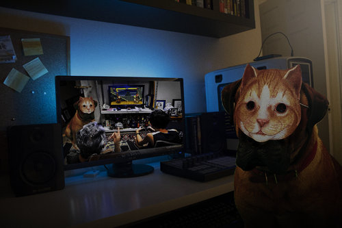 犬に猫マスク15