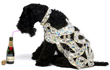 犬のヴィヴィアン・ウエストウッドのコート