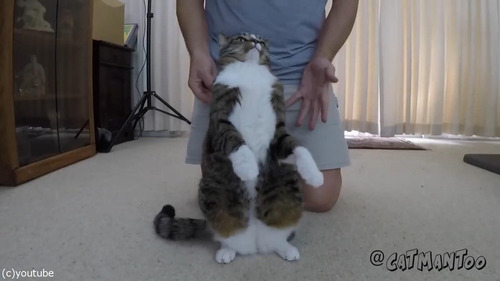 ������ݤ��ǭ02