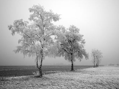 吹雪