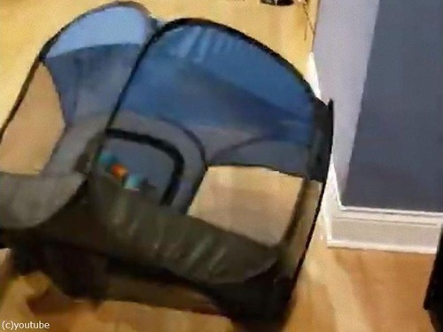 ���ѥƥ�Ȥ����곰��ͷ����01