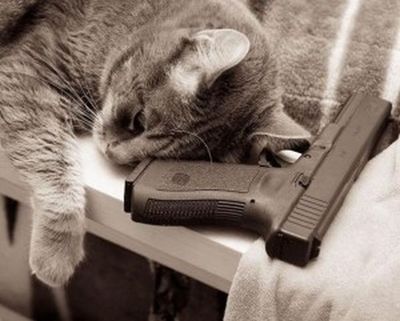 デンジャラス猫&犬08