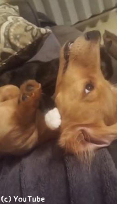 ǭ��Ķ��ƥ��˥å��˾�ŷ���븤02