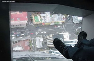 ガラス張りの高層ビルの下14