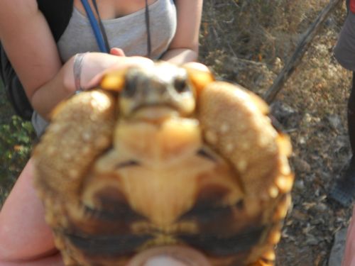 オートフォーカス01