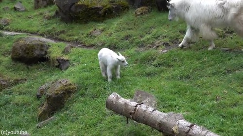 ���Ф�������򤹤�䥮�λҤɤ�01