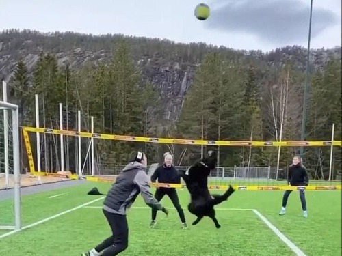 �Х졼�ܡ���Υȥ���ŷ�͸�05