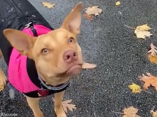 �㤬�ߤäƤ���Τ���Ƹ�����02