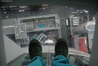 ガラス張りの高層ビルの下16